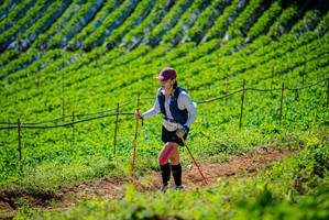 BIB: 1443, 
                            <button type="button" onclick="openModal(19162916)" class="btn btn-primary btn-sm float-right btn-popup" data-toggle="modal" data-target=".modal-high-quality">
                        <i class="fas fa-shopping-cart"></i> Add to Cart
                    </button>
                                            <button type="button" onclick="isThisMe(19162916, true)" class="btn btn-success btn-sm float-right btn-popup btn-isme hidden" data-toggle="tooltip" data-placement="bottom" title="นี่คือรูปของคุณใช่ไหม คลิกที่นี่เพื่อเอาเข้าอัลบั้ม">
                        <i class="fas fa-plus"></i> Add to album
                    </button>
                    <button type="button" onclick="isThisMe(19162916, false)" class="btn btn-warning btn-sm float-right btn-popup btn-isnotme hidden">
                        <i class="fas fa-ban"></i> Remove from album
                    </button>